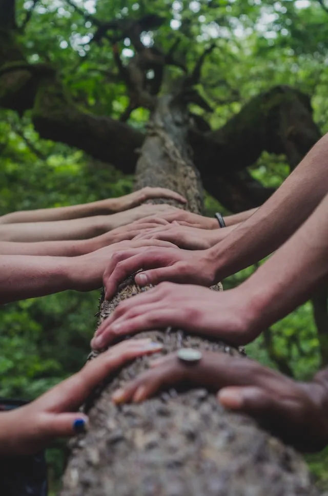 women hands gathering together touching a trunk in meditation in a women's circle