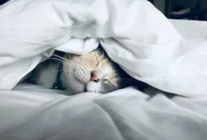 Read more about the article How to Get A Good Night’s Sleep