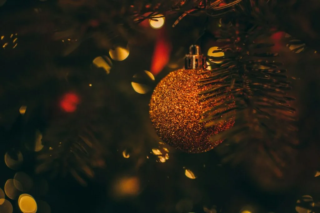 Christmas bauble hanging in a tree